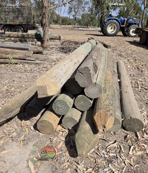 16x 6" Pine Fence Posts - photo 3