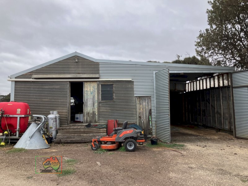 Complete Shed for Removal - photo 3