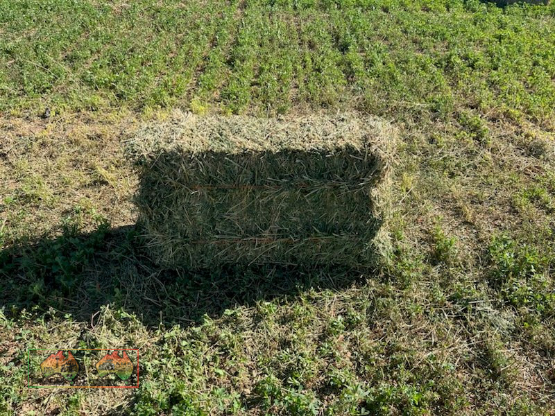 Horse Quality Lucerne Hay ($/bale) - photo 5