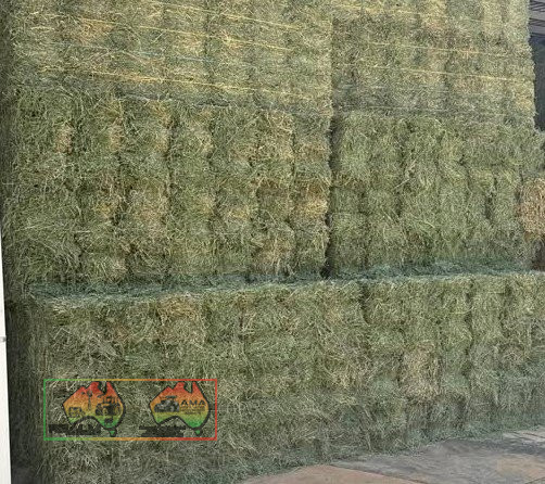 Horse Quality Lucerne Hay ($/bale) - photo 3