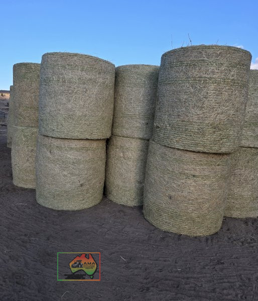 68 Rolls of 4x4 Rhodes Grass Hay (Delivered to N.E.Vic)