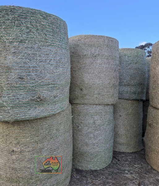 68 Rolls of 4x4 Rhodes Grass Hay (Delivered to N.E.Vic) - photo 2