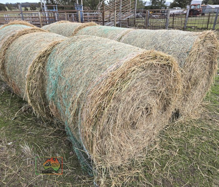 2 Rolls of 4x4 Rhodes Grass Hay (Collect from EUROA)