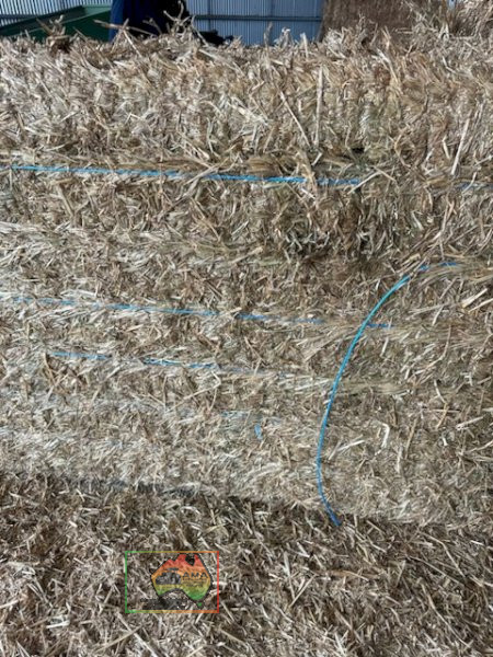 63x Big Squares Wheaten Hay (Delivered to Georges Creek) - photo 6