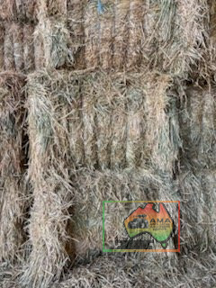 41x Big Squares Wheaten Hay (delivered to Nathalia)