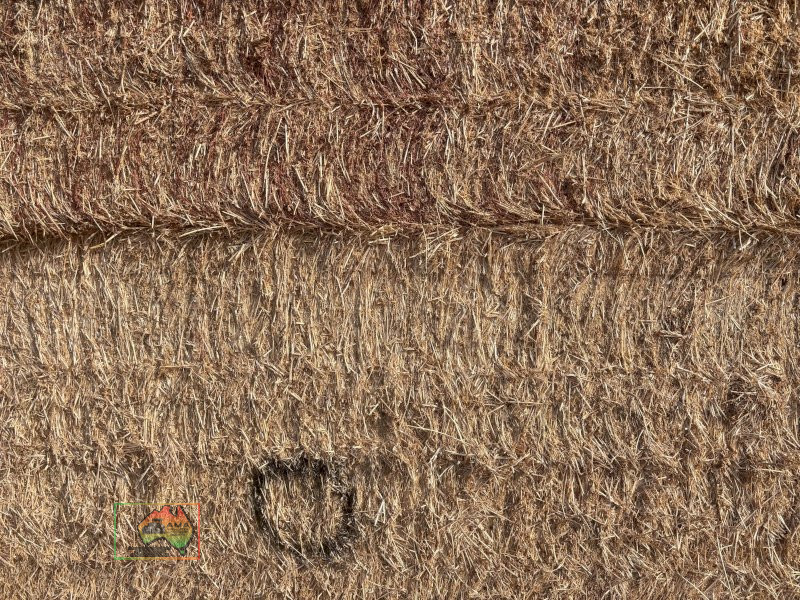 46x Big Squares 98% Lucerne (780Kgs) - photo 2