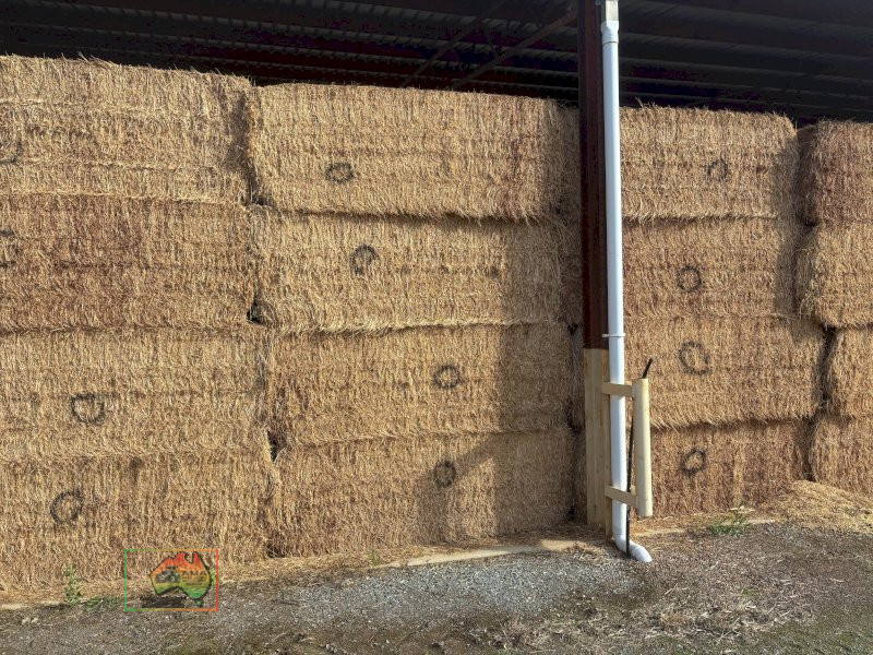 46x Big Squares 98% Lucerne (780Kgs)