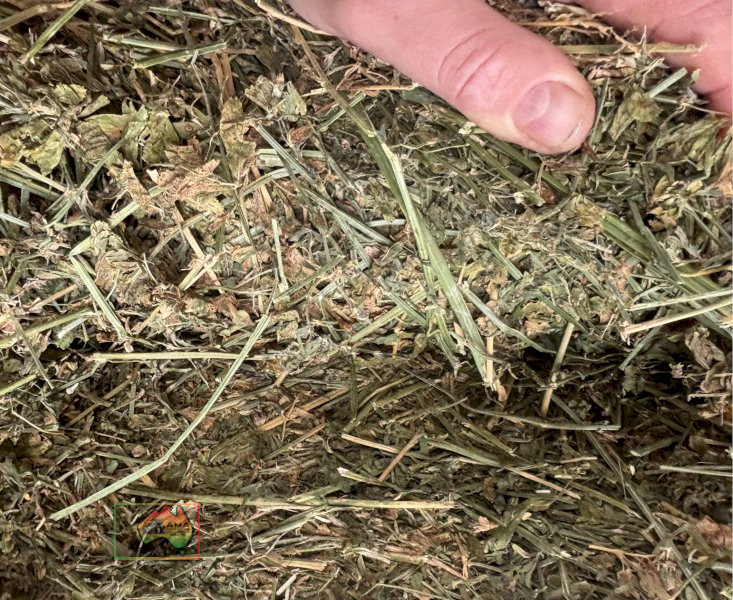 46x Big Squares 98% Lucerne (780Kgs) - photo 3