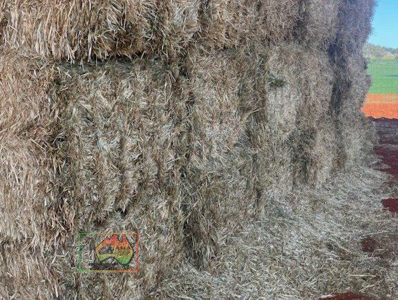 41x Big Squares Quality Pasture Hay - photo 2