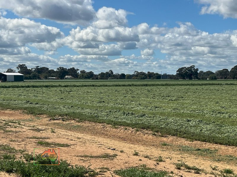 Quality Lucerne Silage Rolls (New Season) ~ REDUCED PRICE - photo 5