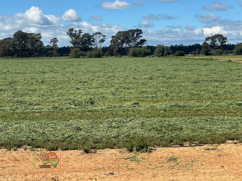 Quality Lucerne Silage Rolls (New Season) ~ REDUCED PRICE - photo 4