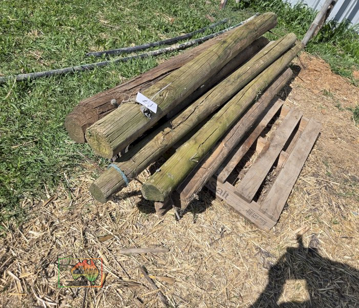 9x Assorted Pine Posts - photo 2