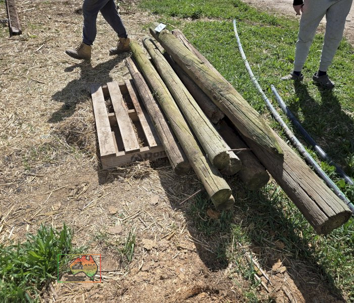9x Assorted Pine Posts