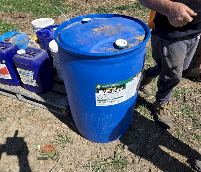 RTU Redene Teat Spray (Approx. 120 Ltr) - photo 2