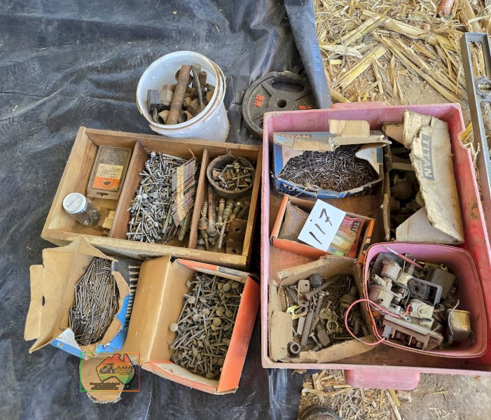 Assorted Nails, Screws etc...