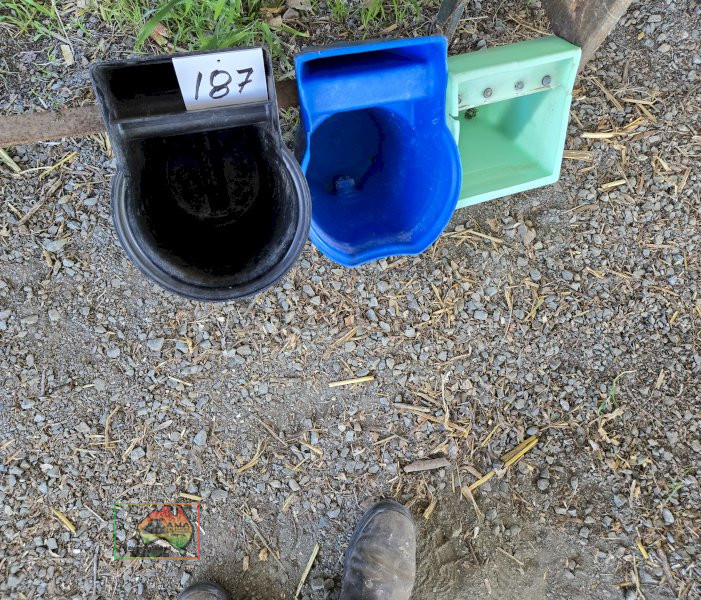 3x Single Teat Calf Feeders - photo 3