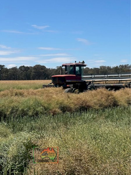 MacDon Windrower 9352 C - photo 2