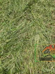 24 Rolls of Italian Ryegrass, Balansa Clover & Oats ($/Bale) - photo 4