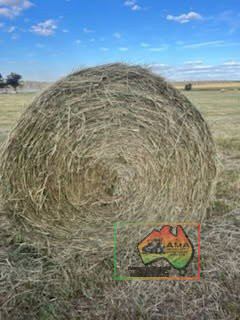 24 Rolls of Italian Ryegrass, Balansa Clover & Oats ($/Bale) - photo 2