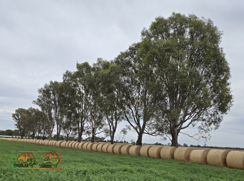 Quality Lucerne Silage Rolls ($/Roll) - photo 6