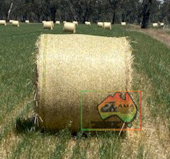 5x4 Rolls of Oats & Rye (REDUCED) - photo 2