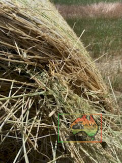 5x4 Rolls of Oats & Rye (REDUCED) - photo 4