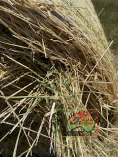 5x4 Rolls of Oats & Rye (REDUCED) - photo 5