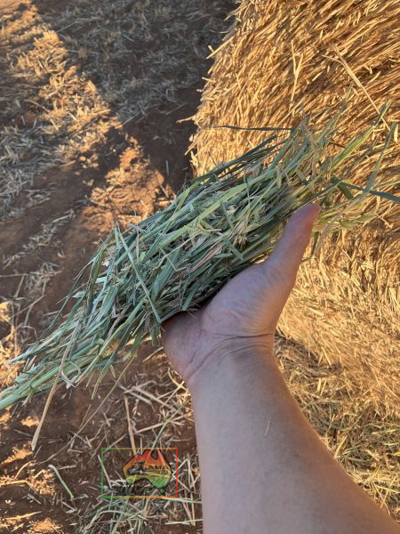 5x4 Rolls of Oaten Hay ($/Roll) - photo 2
