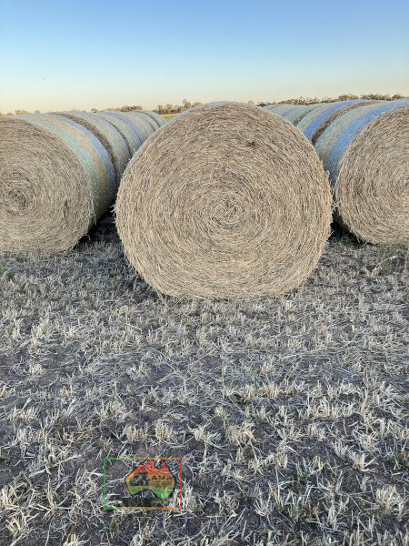 5x4 Rolls of Pure Lucerne Hay ($/Roll) - photo 1
