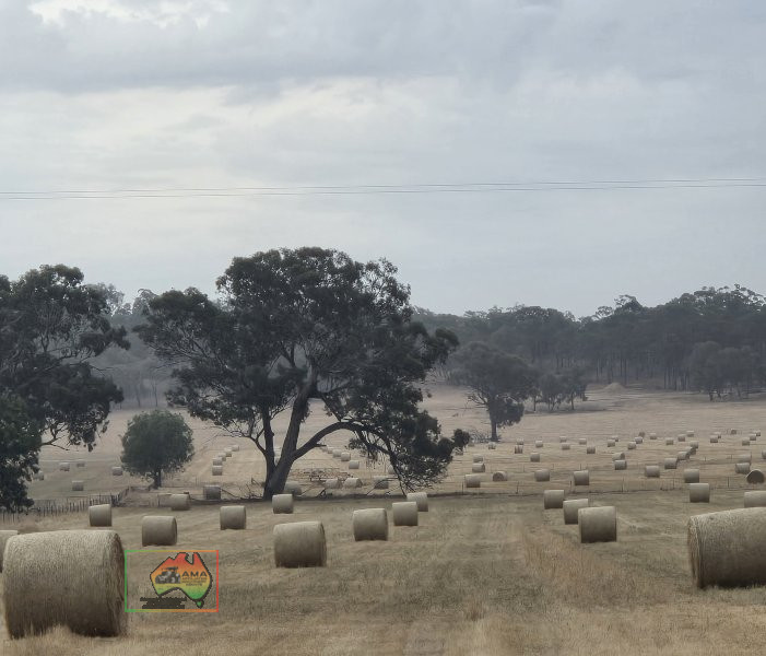 Rolls of Rye & Red Wheat Hay ($/Roll) - photo 1