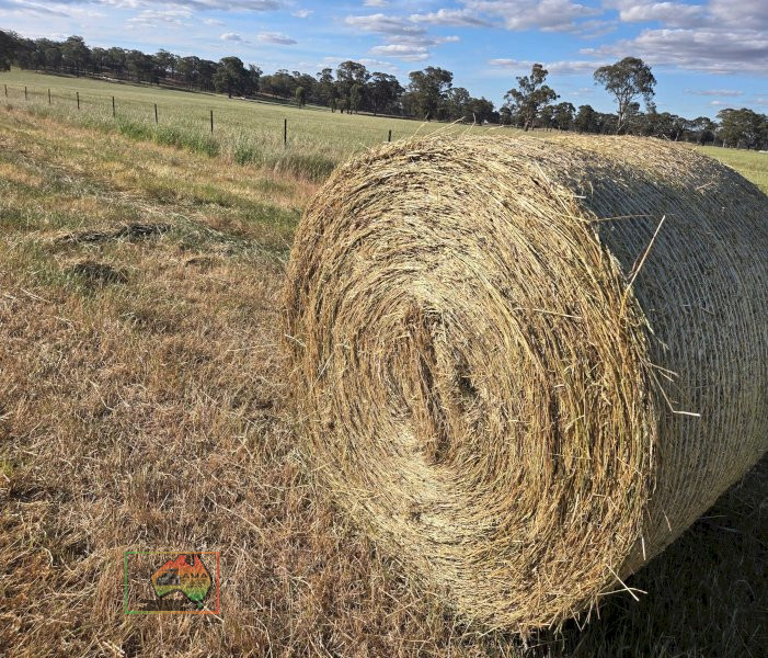 Rolls of Rye & Red Wheat Hay ($/Roll) - photo 2
