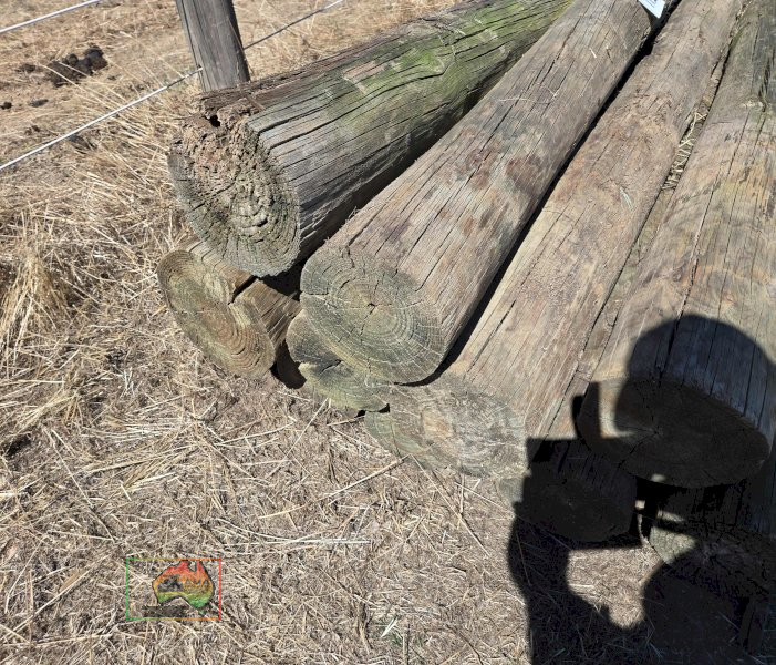 11x 8" Pine Strainer Posts 2.7m - photo 4