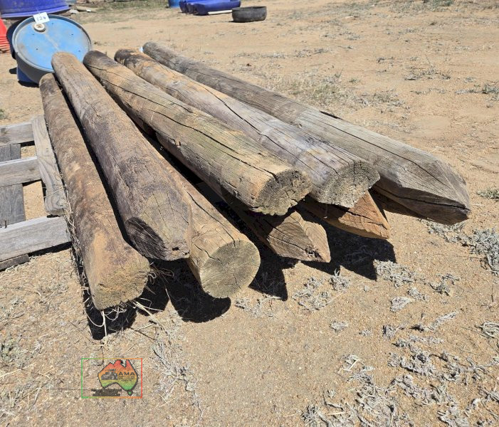 9x 6" Pine Posts - photo 3