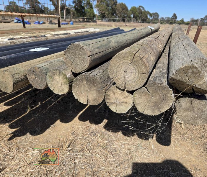 10x Pine Poles 10ft x 4" Suit Horse Jumps - photo 2