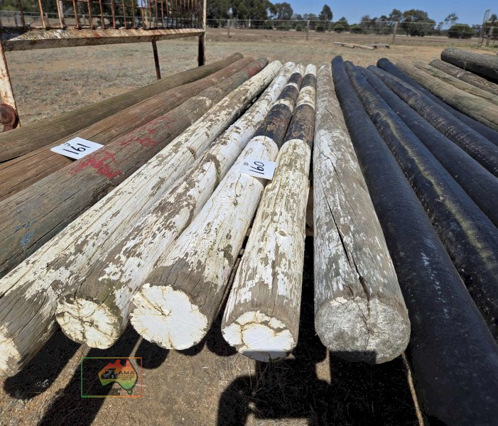 5x Painted Jump Poles 10' x 4"