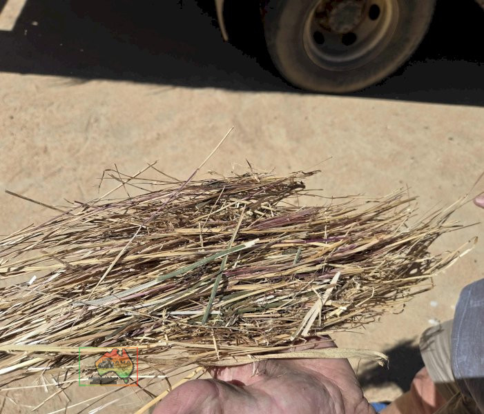 7 Rolls of 5x4 Ryegrass Hay ($/Bale) - photo 4