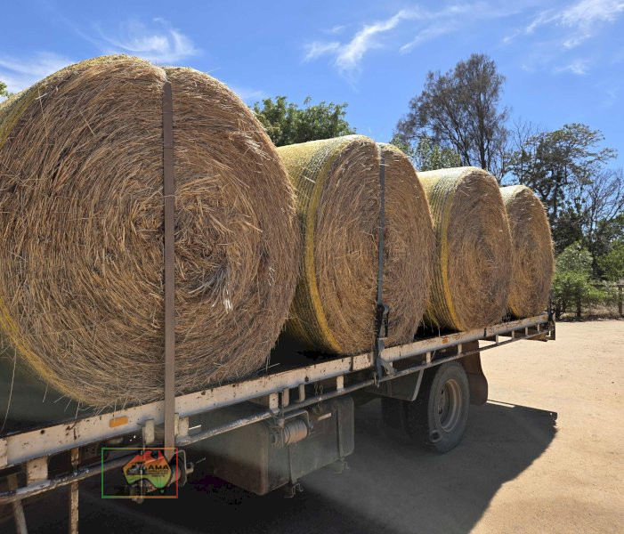 7 Rolls of 5x4 Ryegrass Hay ($/Bale) - photo 2