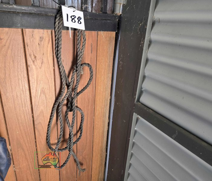 Rope Headstall Lead