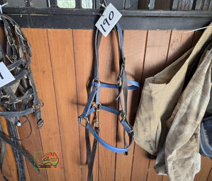 Halter & Lead