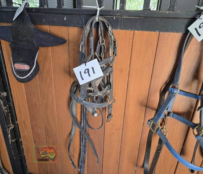4x Halters