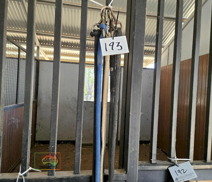 5x Lead Ropes with Snap Hooks