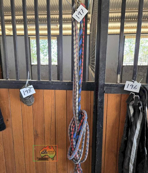 5x Lead Ropes - photo 2