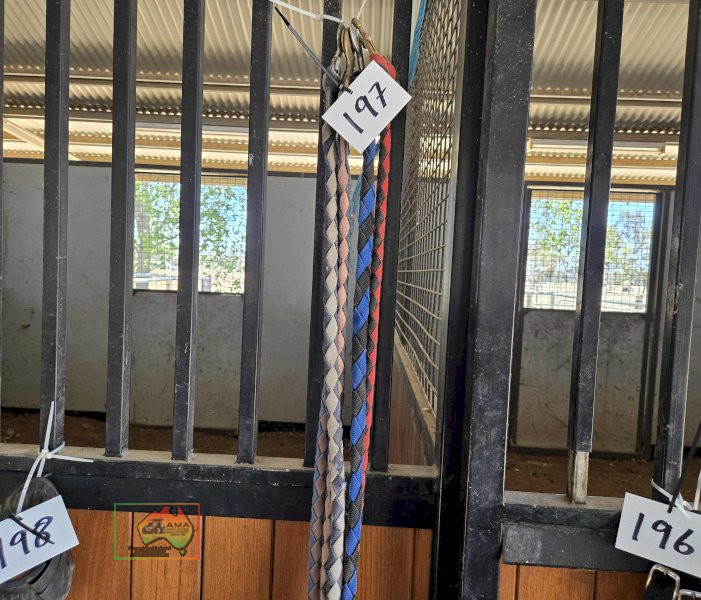 5x Lead Ropes