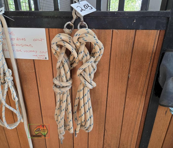 2x Lunging Ropes