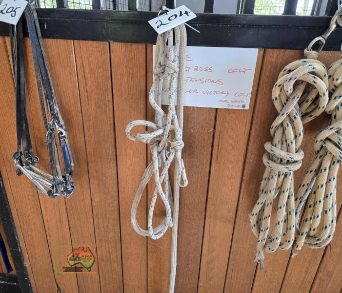 Rope Lead Halter