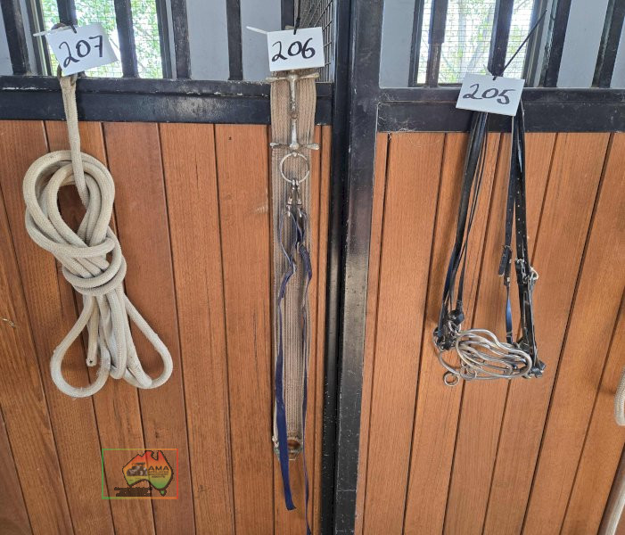Girth Strap & Bit - photo 1