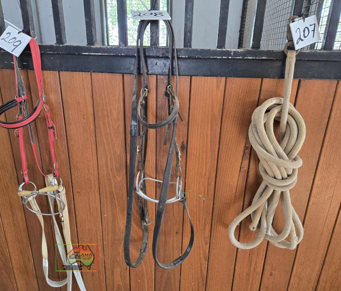 Halter with Rearing Bit