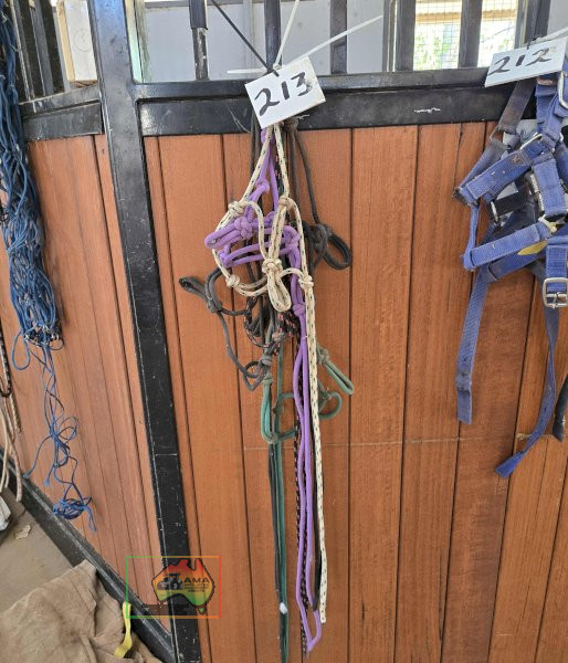 5x Rope Lead Halters - photo 2