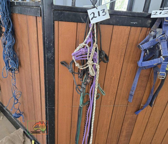 5x Rope Lead Halters
