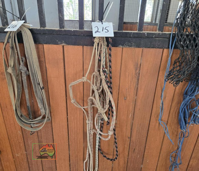 4x Rope Lead Halters